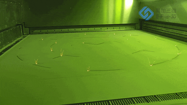 1-2403291P032C4.gif